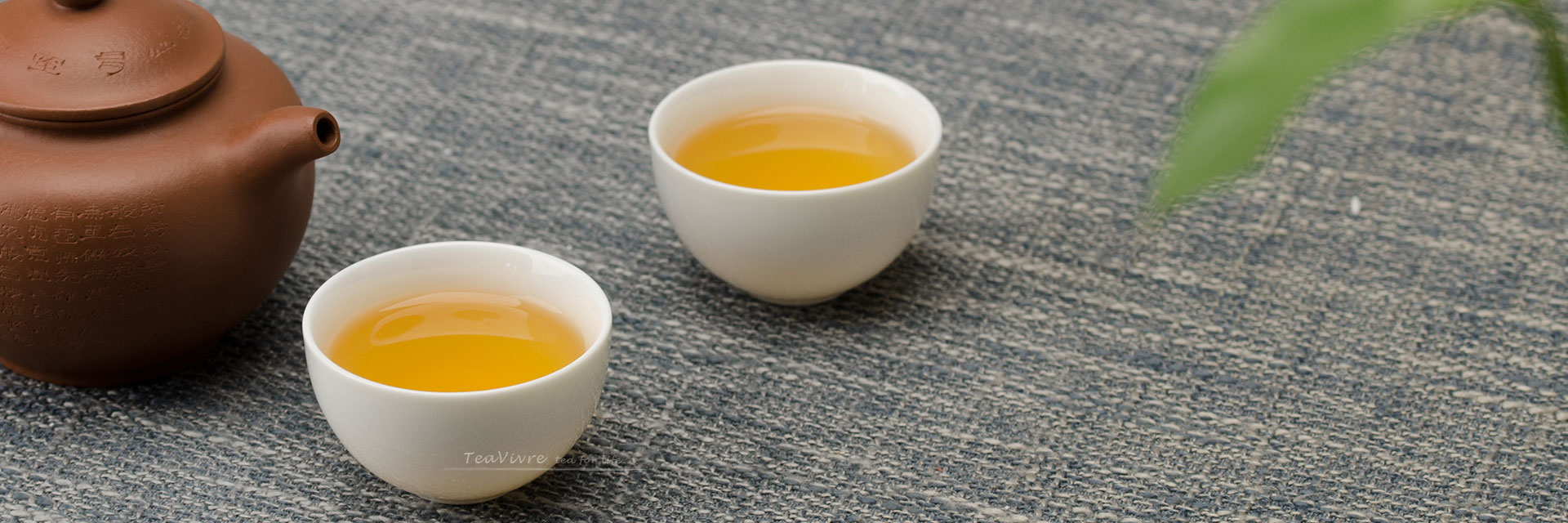 General Health Benefits of Tea