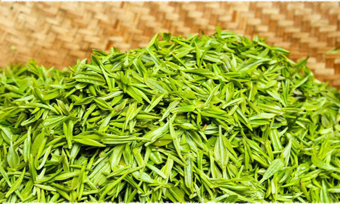 Choose Authentic Dongting Bi Luo Chun Green Tea – teavivre
