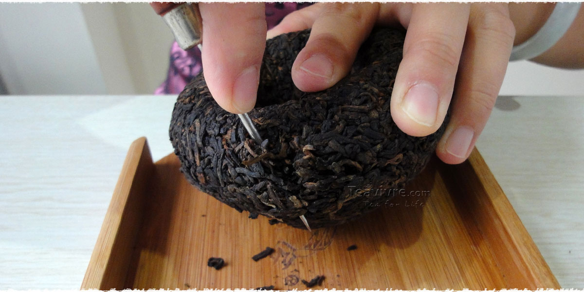 How to Properly Loosen and Pry Pu erh Tea teavivre