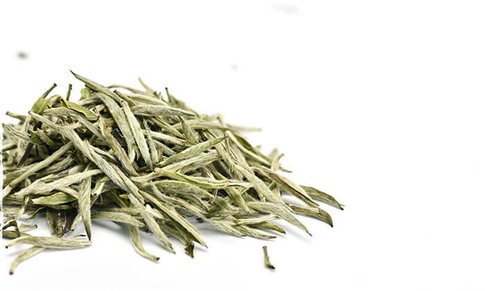 organic bai hao yin zhen silver needle white tea
