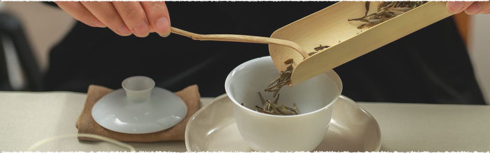 How to Brew Fuding White Tea