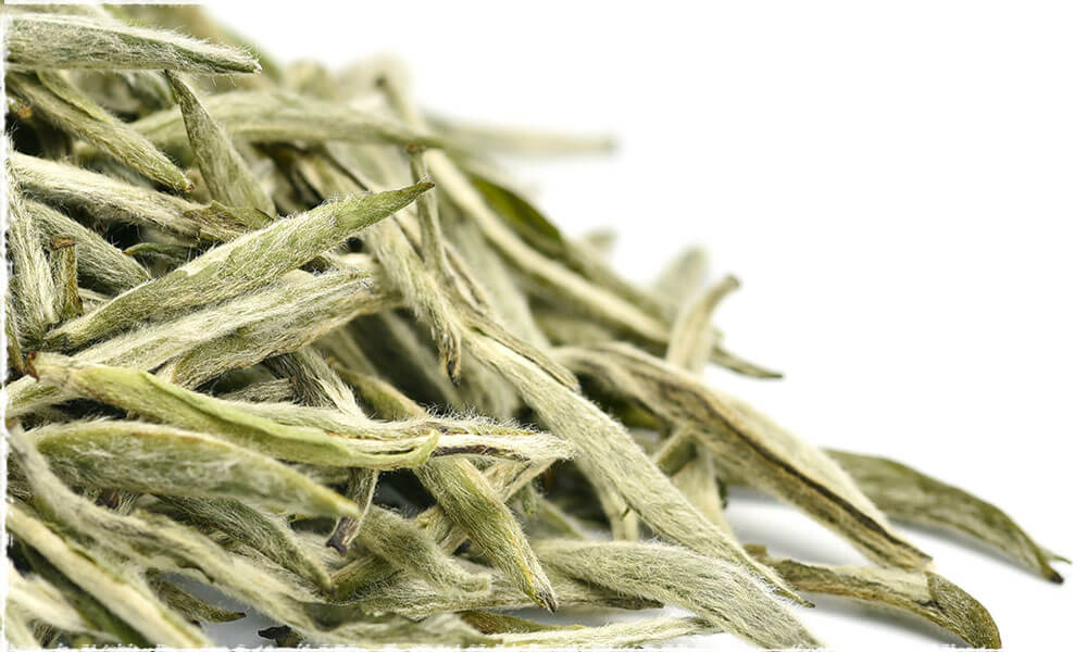 Tea Rinses for Hair Benefits and How to Use It