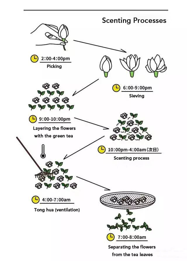 Scenting Processes