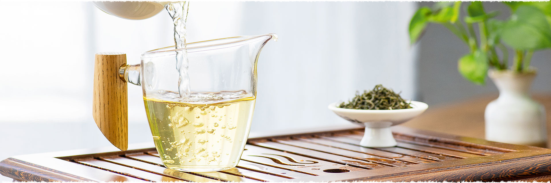 The Four Sub-categories of Green Tea