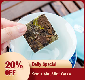 Fuding Shou Mei White Tea Mini Cake