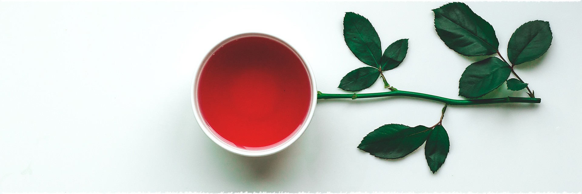 What Is Darjeeling Black Tea?