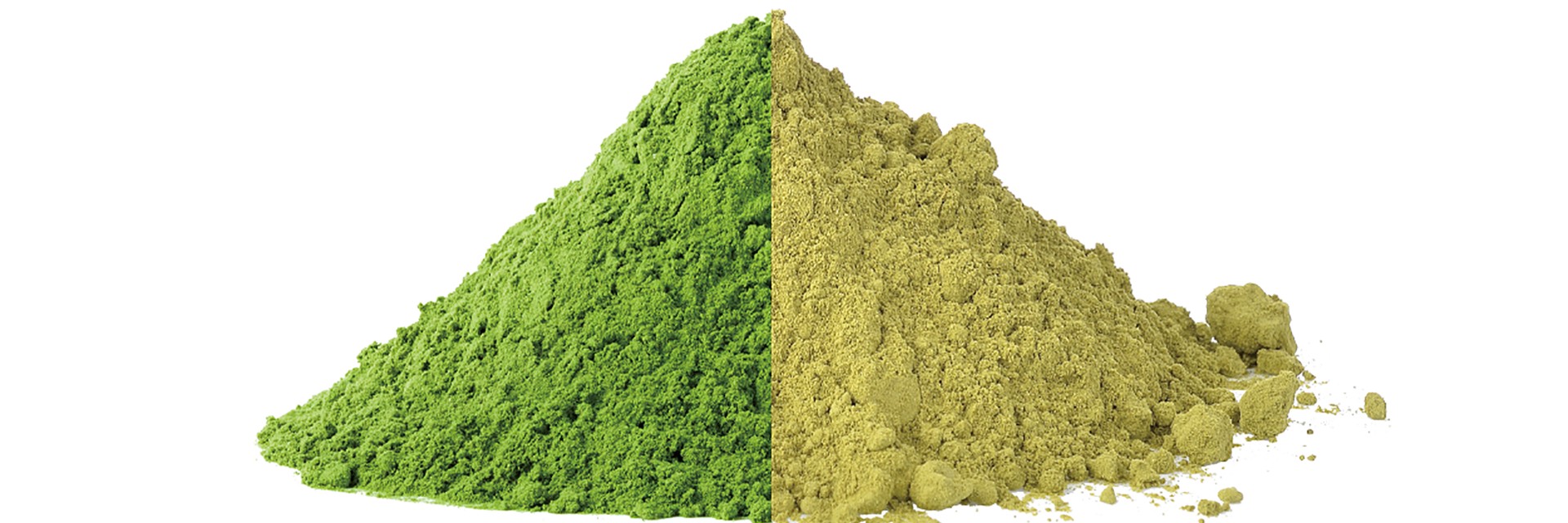 Matcha vs. Green Tea Powder
