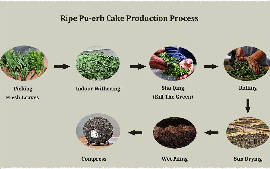 Etapes de fabrication d'un Pu'Er Shu : Cueillette, flétrissement, fixation à la chaleur, roulage, séchage au soleil, fermentation en tas, compression.