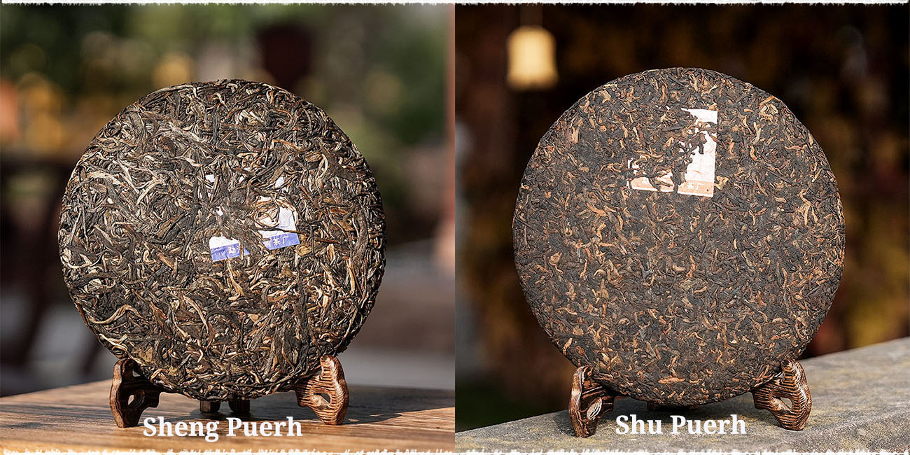 Pu'Er Sheng à gauche et Pu'Er Shu à droite