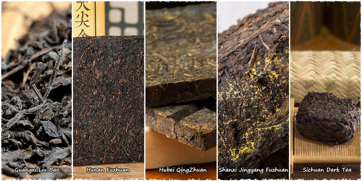 Différents types de thés sombres