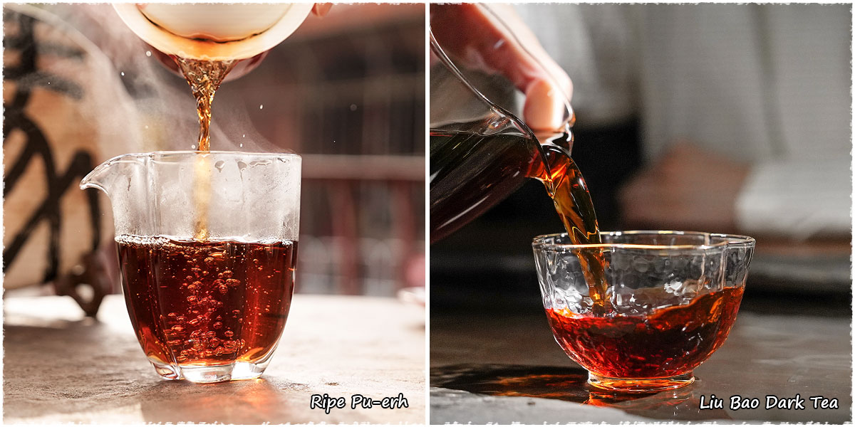 Liqueur d'un Pu'Er cuit à gauche (Ripe Pu-erh) et d'un Liu Bao à droite