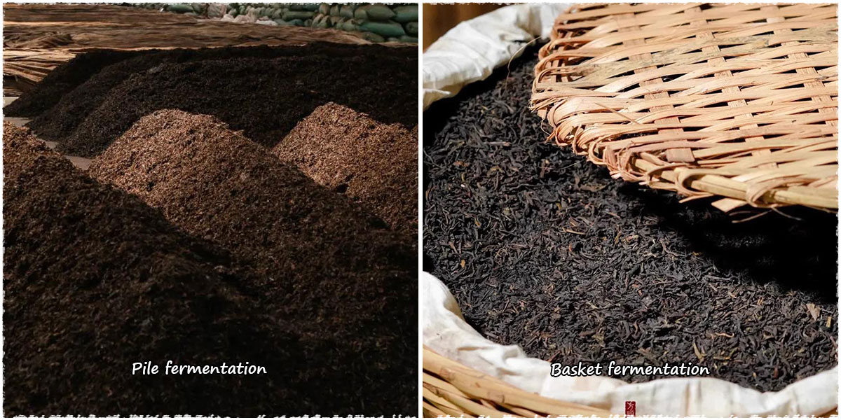 Fermentation en tas à gauche (Pile) et en panier à droite (Basket)