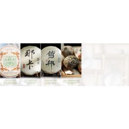 Various Regions Featured Raw Pu-erh Tea Sampler Pack B