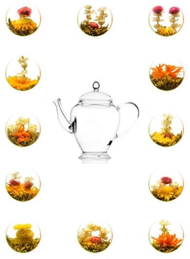 Glass Teapot 450 ml + 12 Blooming / Flowering Tea