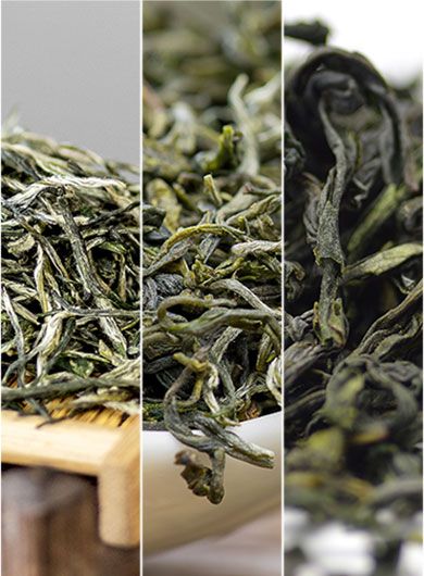 US Warehouse Featured Assorted Green Tea