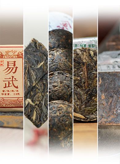 Pu-erh Mini Cake Tea Assortment Samples