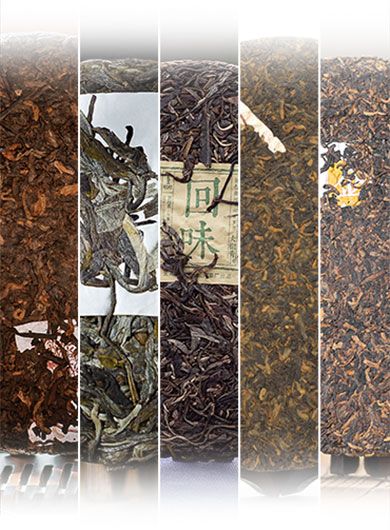 Xishuangbanna Famous Pu-erh Teas Assortment Samples 