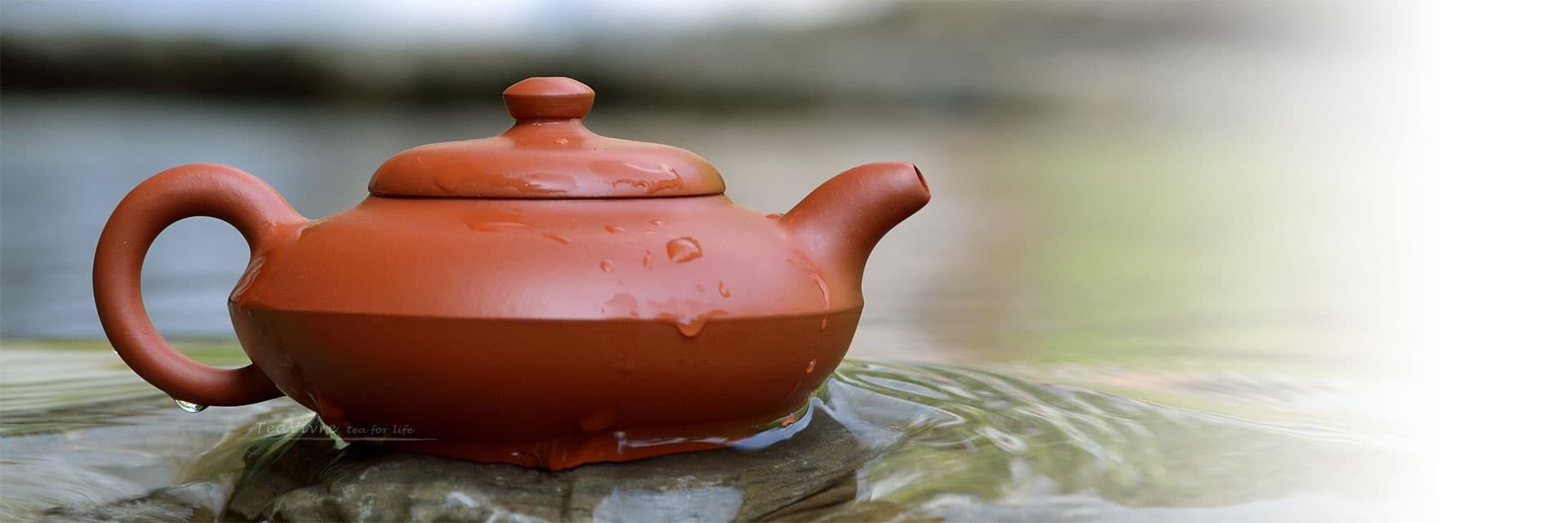 Hand-made He Huan Yixing Zisha Teapot – Teavivre.com