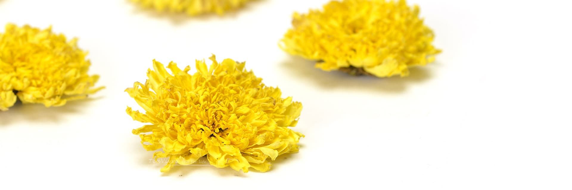 Huizhou Emperor Chrysanthemum Tea Teavivre Com