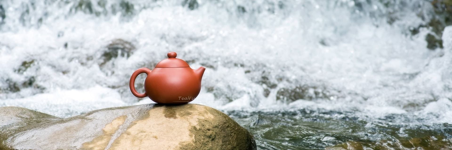 TeaVivre Yixing Zisha Teapot - Thumbnail 3