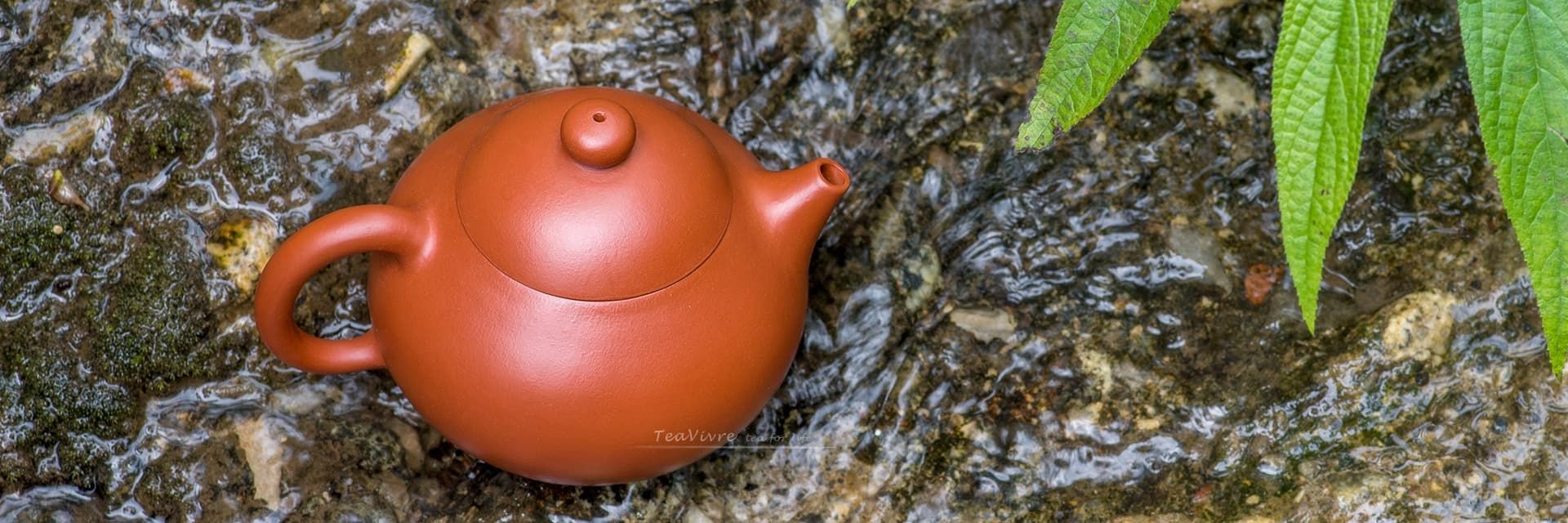 TeaVivre Yixing Zisha Teapot - Thumbnail 2