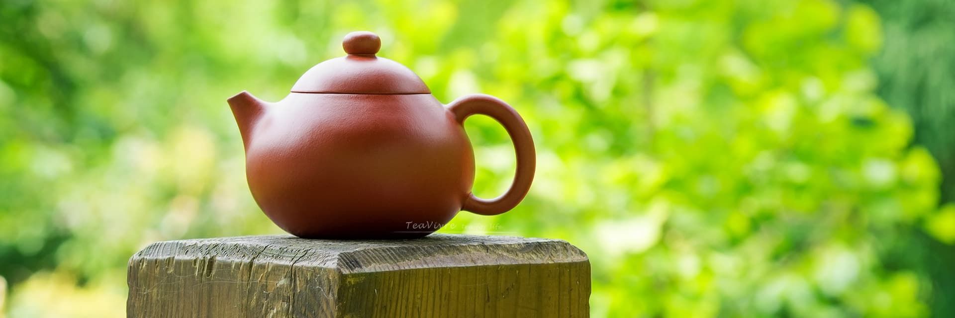 TeaVivre Yixing Zisha Teapot