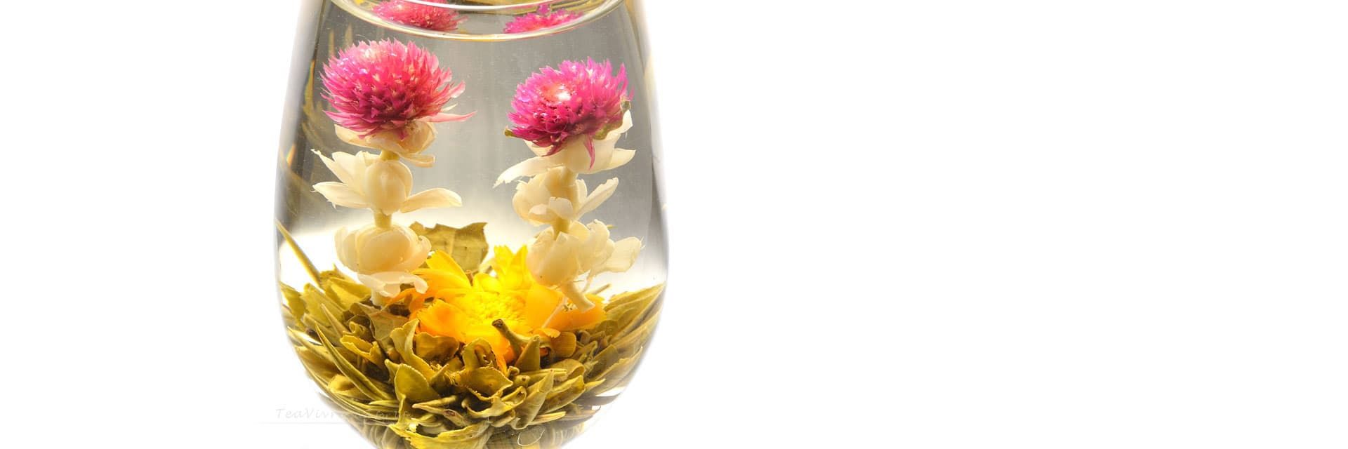 Lovely Blooming Tea True Love Flowering Tea