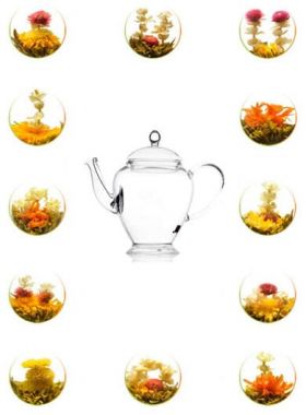 Glass Teapot 450 ml + 12 Blooming / Flowering Tea