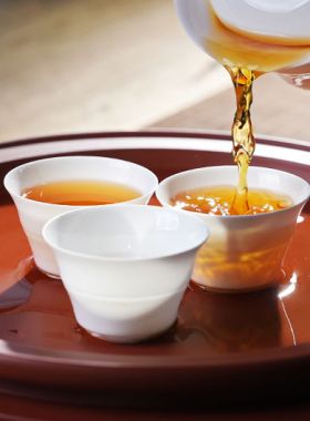 Bamboo Shaped Bone China Tea Cup