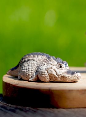 Crouching Crocodile Yixing Zisha Tea Pet