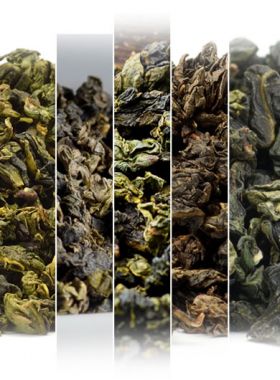 Fujian Oolong Teas Assortment Samples