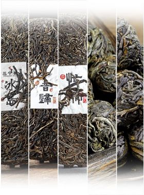 Lingcang Famous Pu-erh Teas Assortment Samples 