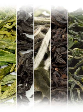 Organic Teas Assortment Samples