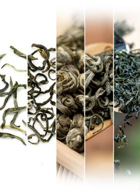 Top Sellers Green Teas Assortment Samples A