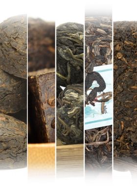 Top Sellers Puerh Teas Assortment Samples
