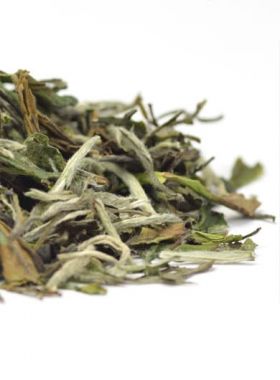 White Peony (Bai MuDan) Tea