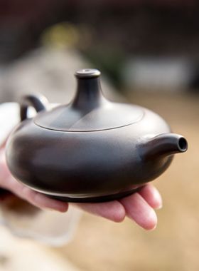 Handmade Qinzhou Nixing Pottery Teapot Wu Chen