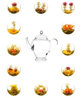 Glass Teapot 450 ml + 12 Blooming / Flowering Tea