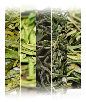Organic Green Teas Assortment Samples