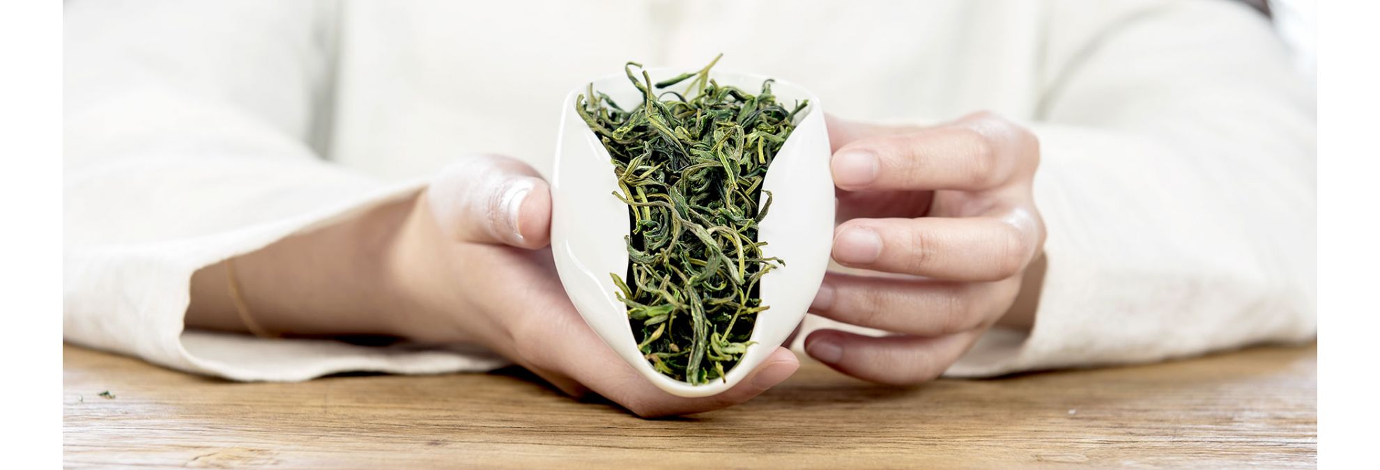Buy Green Tea Tree Seeds Plant Green Tea For Huang Shan Mao Feng New 2019