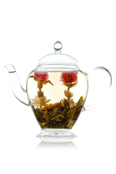 https://d27pcll2dx97vv.cloudfront.net/pub/media/catalog/product/t/e/teapot_for_flowering_tea_370.jpg