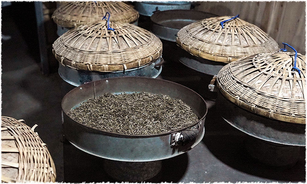 Handmade Nonpareil Ming Qian Meng Ding Huang Ya Yellow Tea